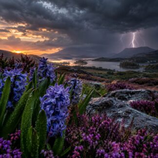 Stormy Night