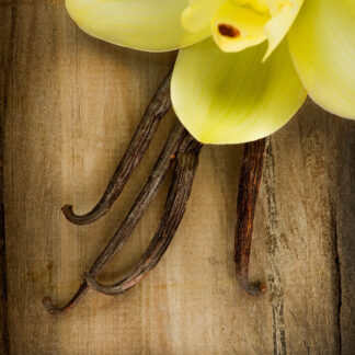 French Vanilla & Amber