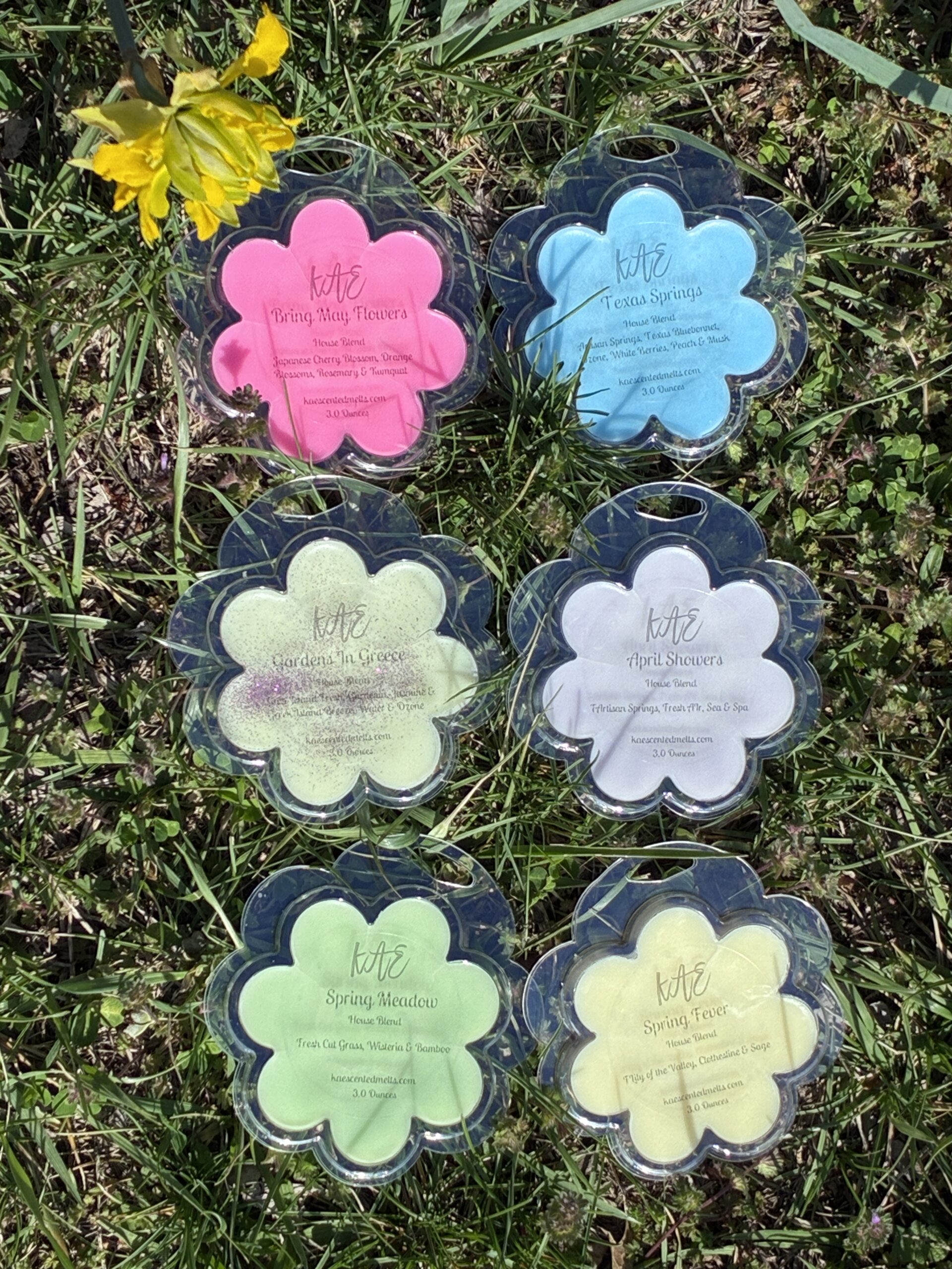 Spring Fresh Sampler