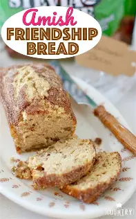 Amish Friendship Bread