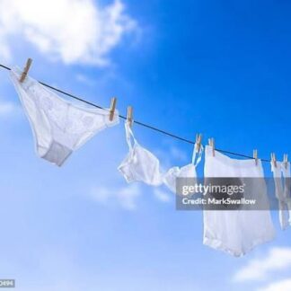 Lingerie on the Line