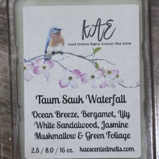 Taum Sauk Waterfall 2.5 OZ Clam