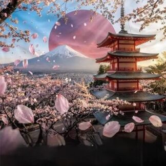 Japanese Cherry Blossom