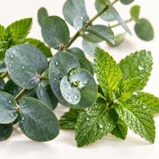Eucalyptus & Spearmint