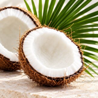 Exotic Coconut