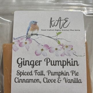 Ginger Pumpkin Type Try Me