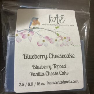 Blueberry Cheesecake Type Try Me